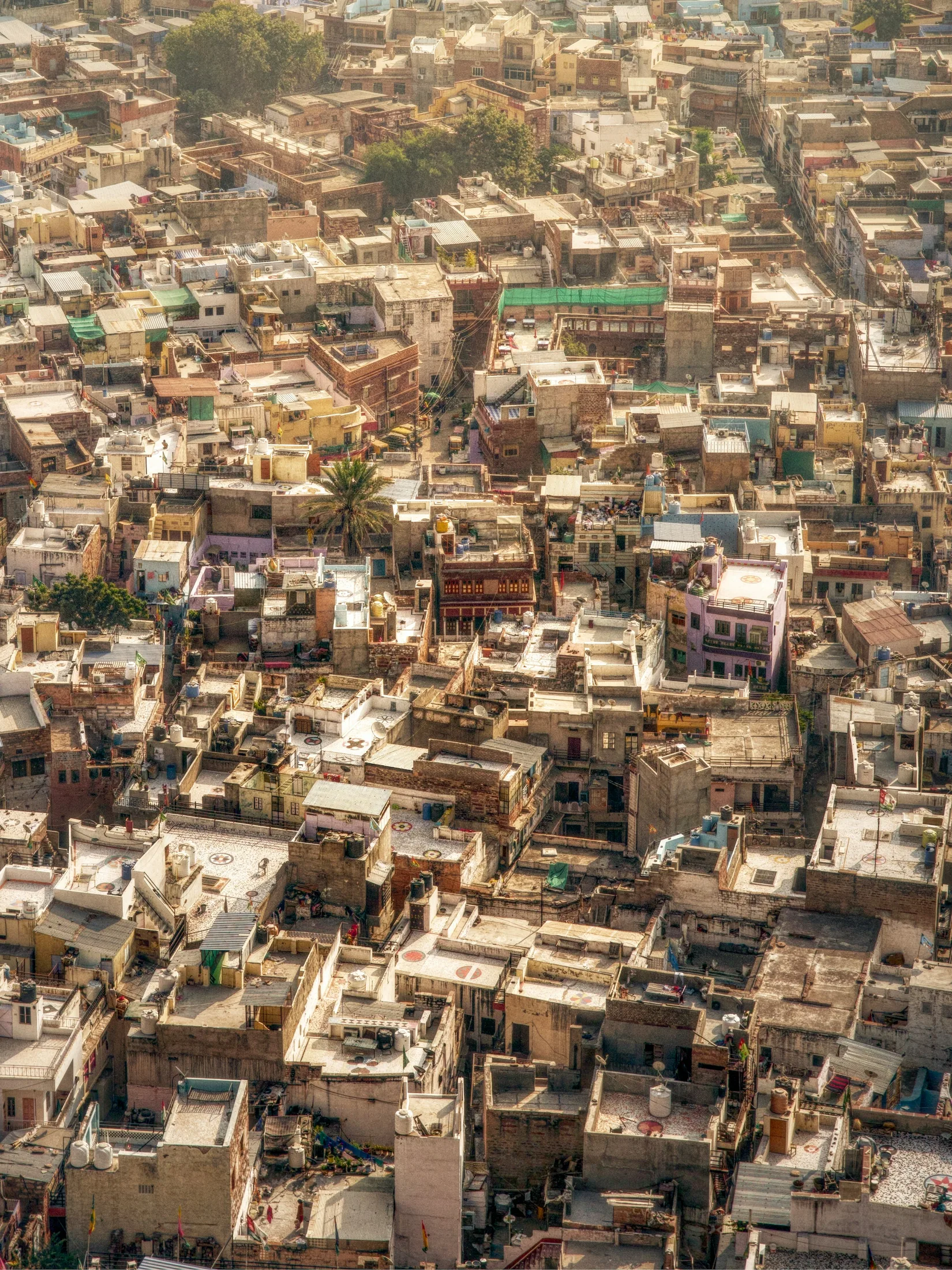 Blue houses beneath Mehrangarh Fort in Jodhpur