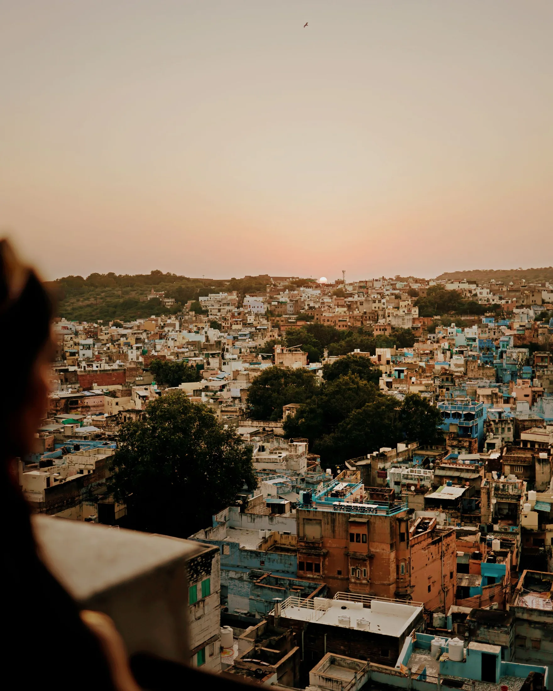 Jodhpur's blue neighbourhoods at sunset