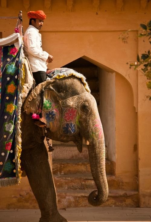 Decorated elephant at Amber Fort