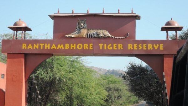 hire car taxi tempo traveller with driver in Ranthambore 13 1